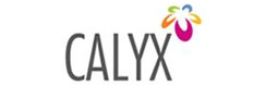 Calyx Constructions Pvt Ltd