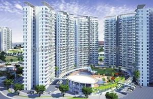 40 Flats For Sale In Punawale Pimpri Chinchwad Apartments In